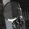 Voiceover/ADR Recording
